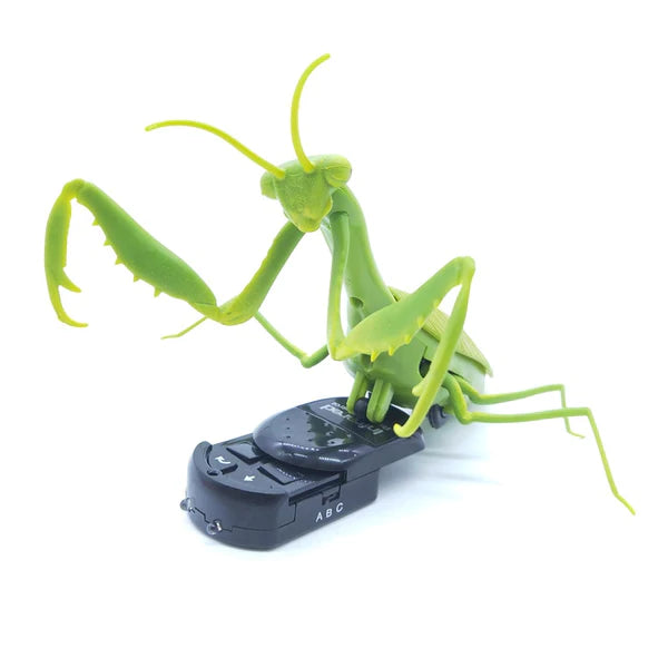 Remote Control Mantis Get Ready To Explore New Petting Experience With Electronic Pet Toy