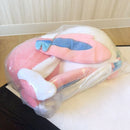 Pokemon Original Big Plush Toy of Sleeping Eevee Sylveon, Espeon, Umbreon & Leafeon