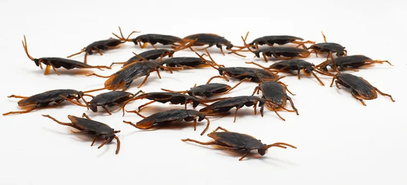 Funny Fake Roaches Scary Insects Plastic Bugs Pretty Realistic Fake Cockroach for Halloween Party Tricking People Kids Playing