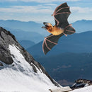 Realistic Animals Figure Toys Bat Model as Party Favors Supplies Collectible for Halloween