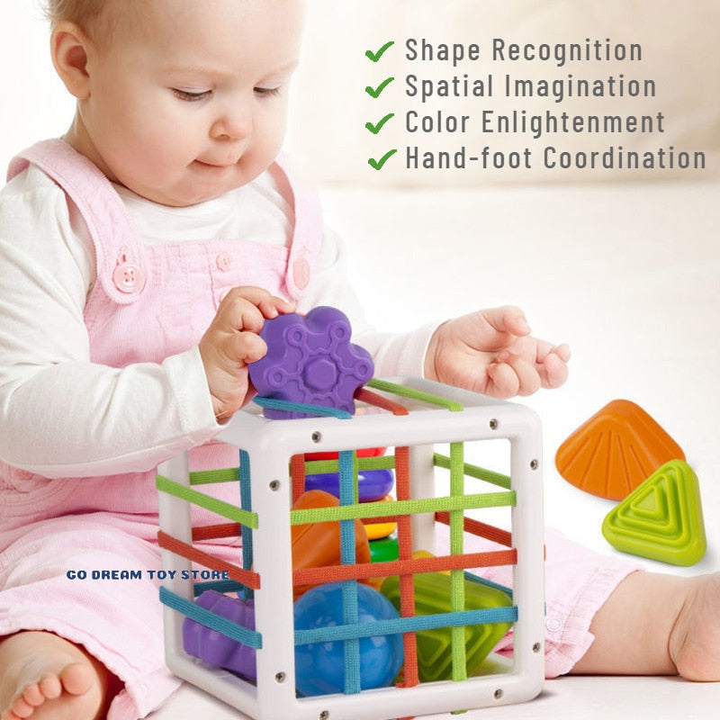 Shape Block Sort Colorful Shape Blocks Sorting Game For Baby Educational Toys For Child